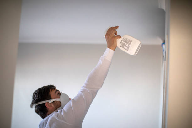 Best Certified Mold Removal  in Wheat Ridge, CO